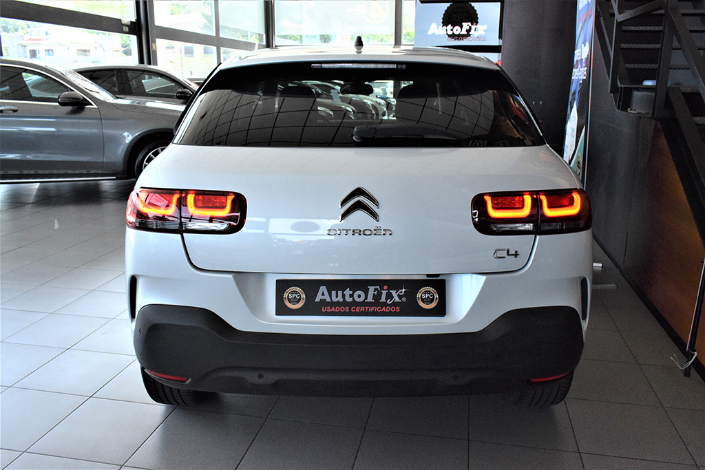 CITROEN C4 CACTUS 1.5 BLUEHDI SHINE 102 CV